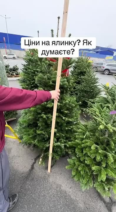 ���� � ������ ����� ����� ���������