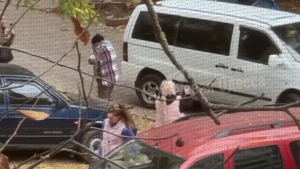 �������. ������� ������������� ����� � ���