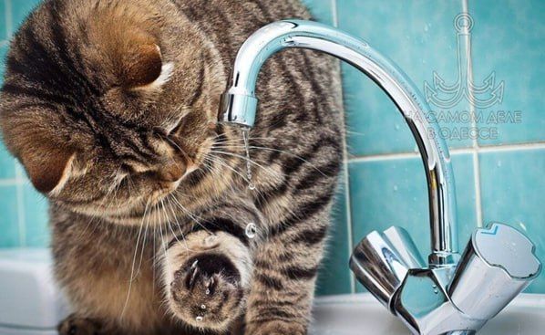 ������������ ������ 02 ������� 2025 ���� � ������ � ������� �����������: