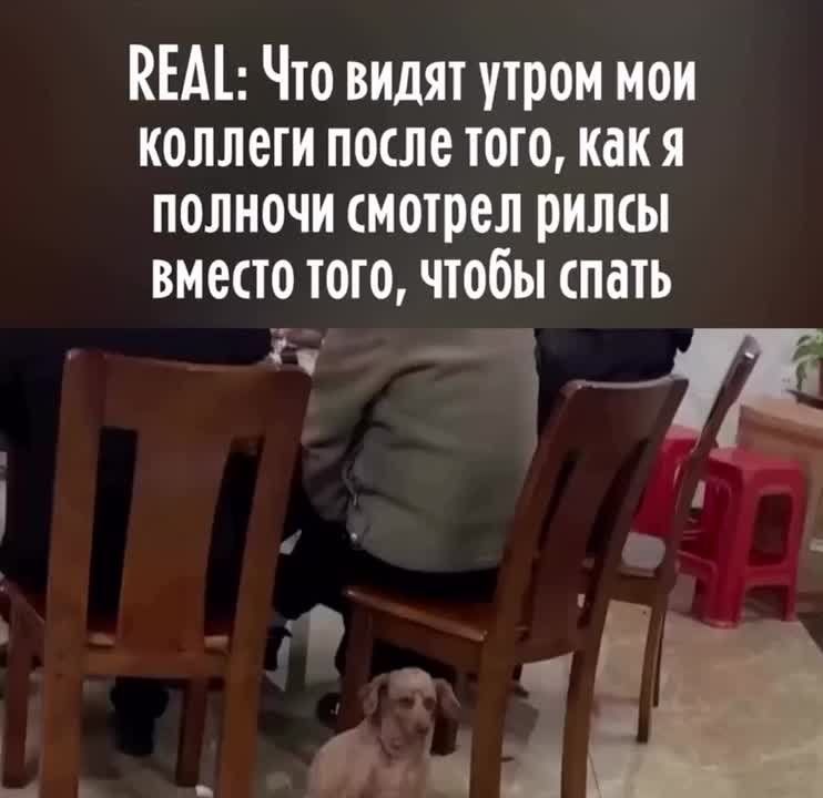 ������ ����, ������. ���������� ������� �����, ������� ������� � ������� �����