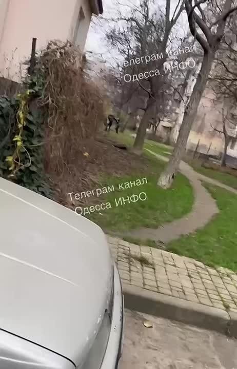 ����� ���������. ������, ���� ���