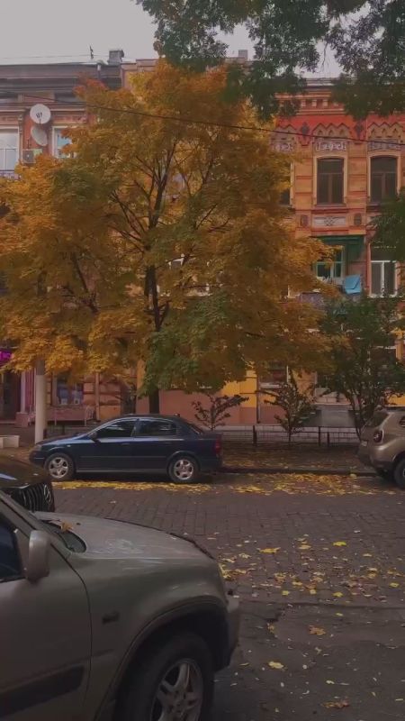 ������ ����, ������!. �����������: ���� �� +7��, �� ��������� ����� ��� +5�� �����: ������ �������������� � 1-3 �/�