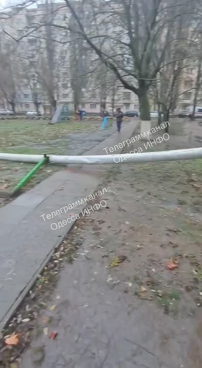 � ������ ������� �����������