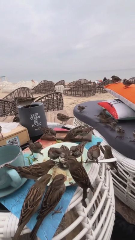 � ������ ����� �����. ����� ��� �����, ��� ������, � �� ����� ��� ������, ����� ����� ���� ����������