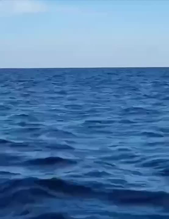 �������� ������ ������� ����������� �������� ����� ��������