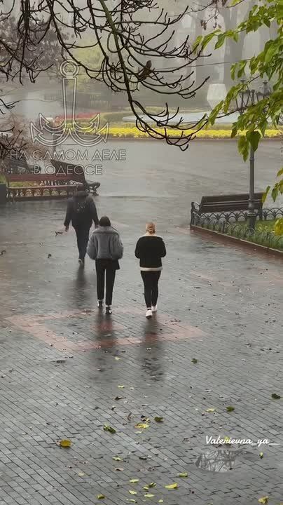 ���� ��, ������-���� ����������