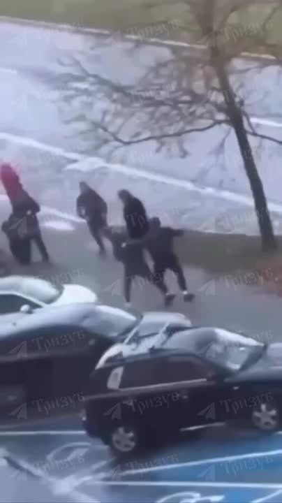 � ������ ������ ���������