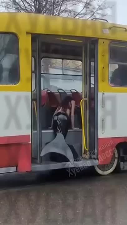 ������ � ������ ����� ������� ��� ������� �������� � �������