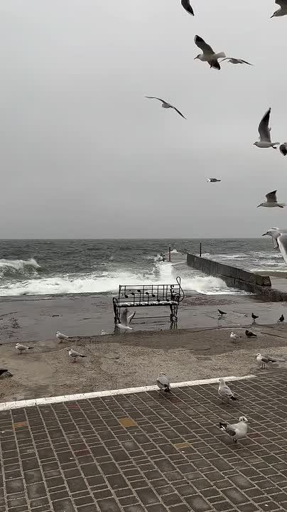 ������� ������-������ ������