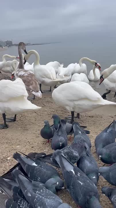 ����� ��������� ���� � �������� �������