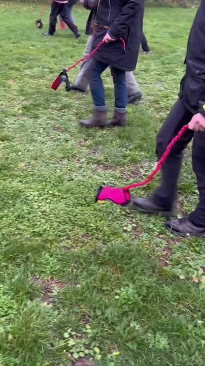 Одесский блогер в шоке от нового тренда - хоббидогинга