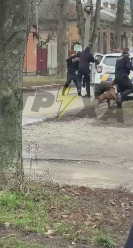 ����������� ��������� ����������: