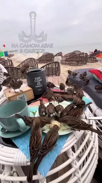 ���� ��, ������-���� ����������