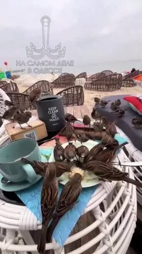 Таки да, Одесса-мама проснулась