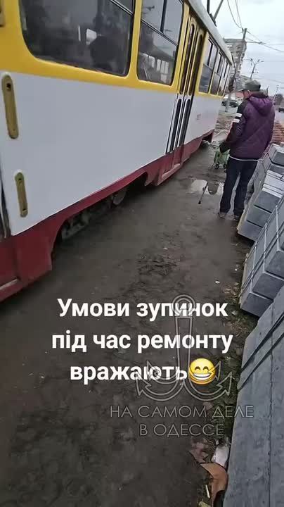 �� 1-� ��. ������������ �������-�� ������ ������ ���������� ���������