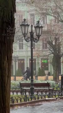 Таки да, Одесса-мама проснулась