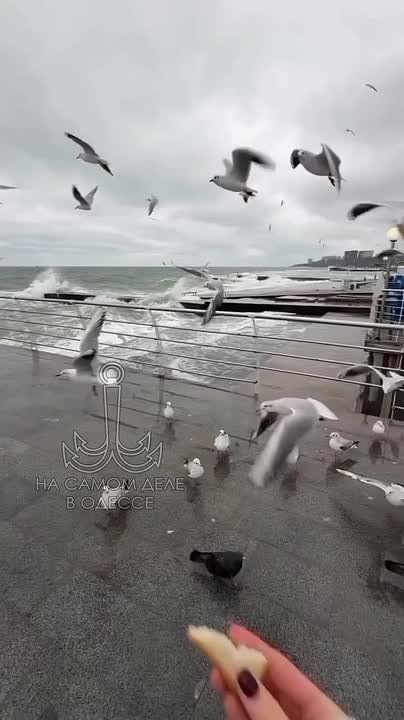 ���� ��, ������-���� ����������