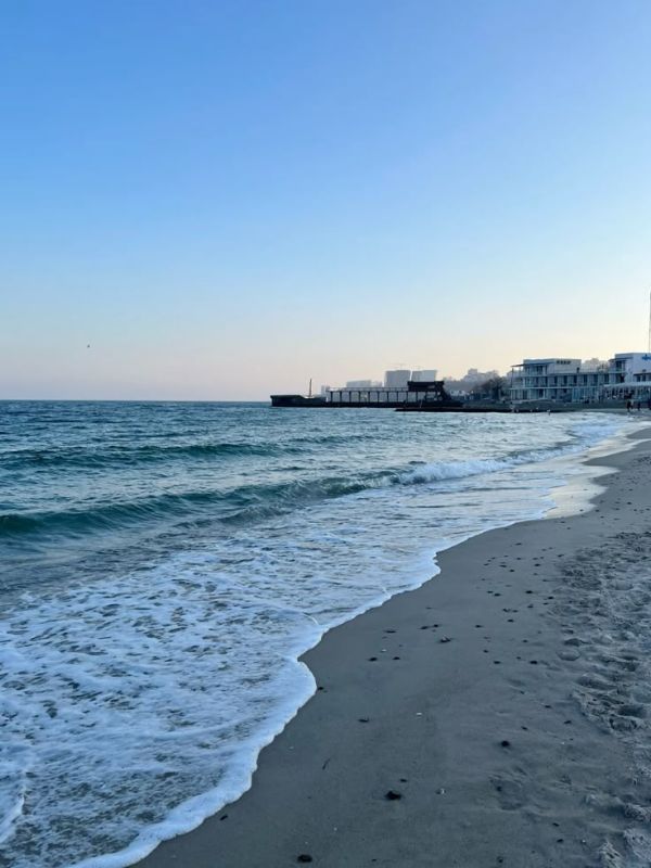 ������ ����, ������!. ������� �����������, 8 �������, ��������