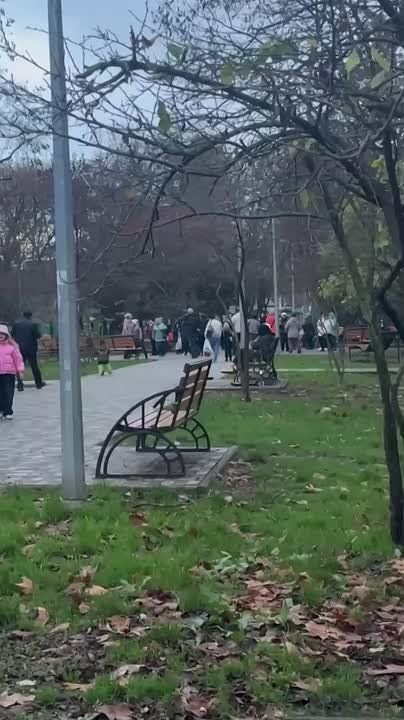 �������� �������� ���������� �������� ������ �������