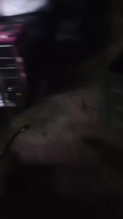 � ������� ������� �����, ����������� �����, ������� ������� ������ ������� ����� �� ������� ���