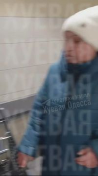 Замес из-за собаки в тележке случился в Одессе