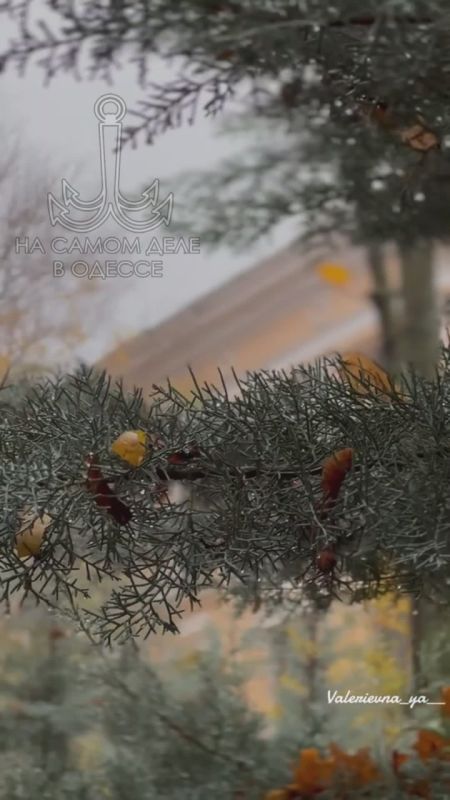 ������ ����, ������!. ������� �������, 12 �������, � ������������