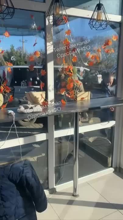 � ������ �������� ������������ ������ �� ������� ���������������