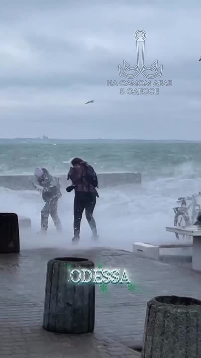 ���� ��, ������-���� ����������