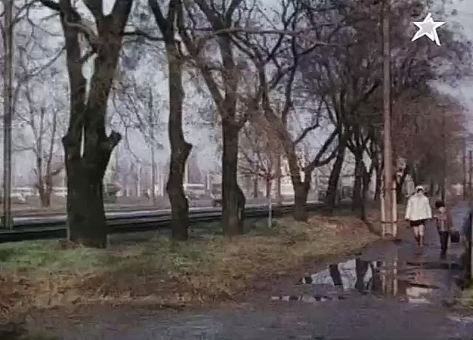 �� ������ ��� ����� ��� �����-������� �� ������