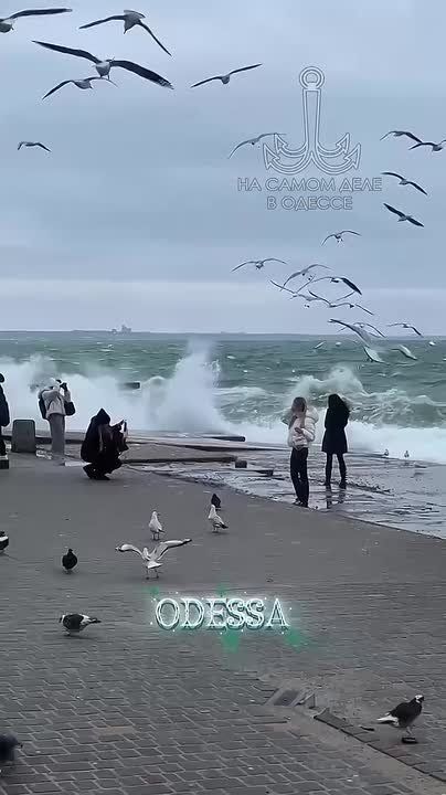 ������ ����, ������!. ������� �����������, 14 �������