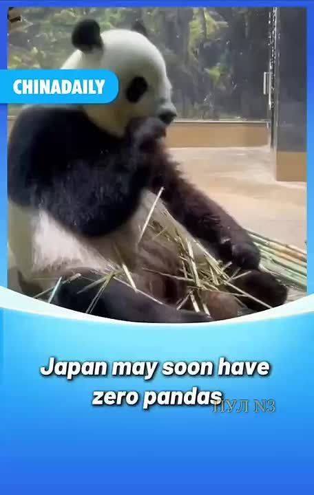 ���������� ����. ���� � ��������� ������� �������� ����� ������ ����������� ������ � ���������� ����