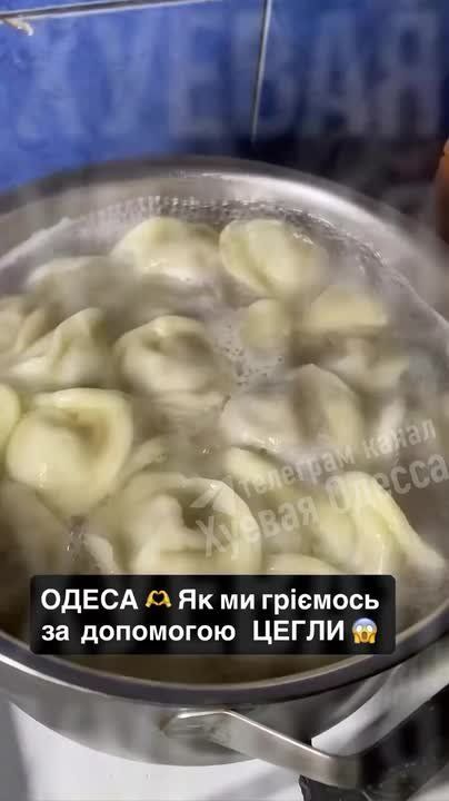 ���� ��������: � ������ ��������� ���� ��� ���������������� ������ ��������������