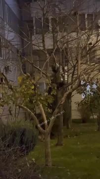 � ������ ���� ������� ����� �� �������� �����