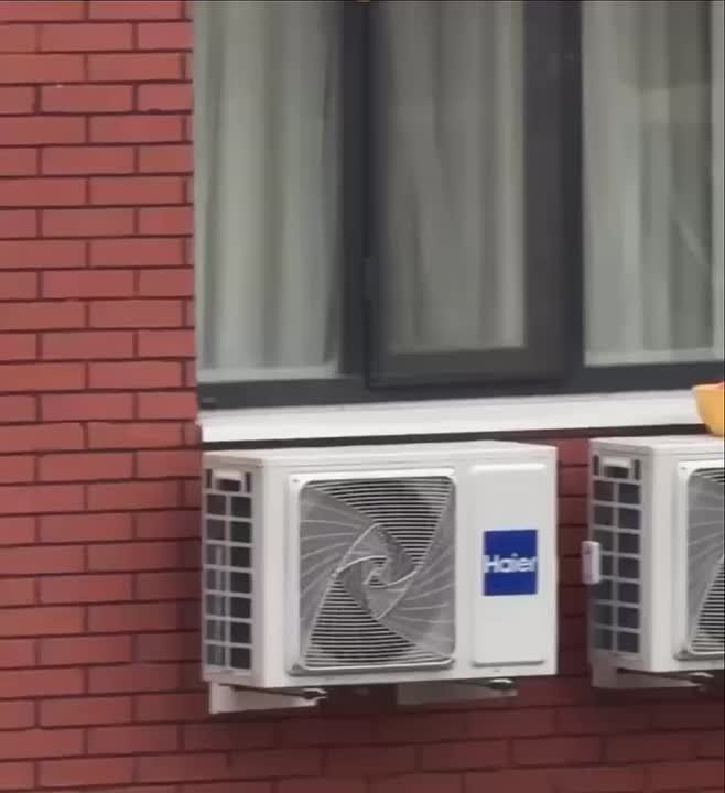 ���������� �� �������� �� �������� �������������