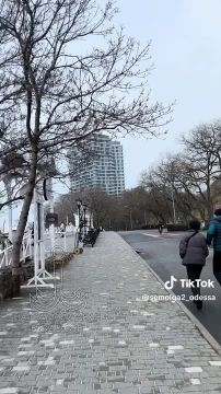 Таки да, Одесса-мама проснулась