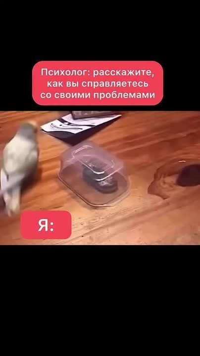 ��������� ����, ������!. �� �����, ��� � ������ ��� ������ ���� ��������, �� ��� �� ����������� ���� ����������