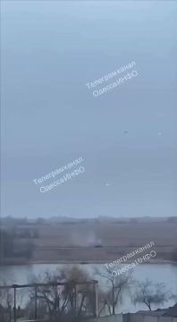 Юлия Витязева: В Одессе нынче было весело