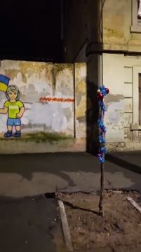 Одесса.. Новогодняя елка при новом гауляйтере Лысаке в патриотической атмосфере