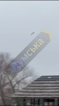 Герань, которая смогла.. В Одесской области герань нанесла удар по мосту у села Маяки, перекрыв тем самым трассу Одесса-Рени