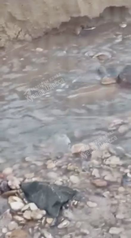 � ������ ����� �������� ����������� � ������ ����