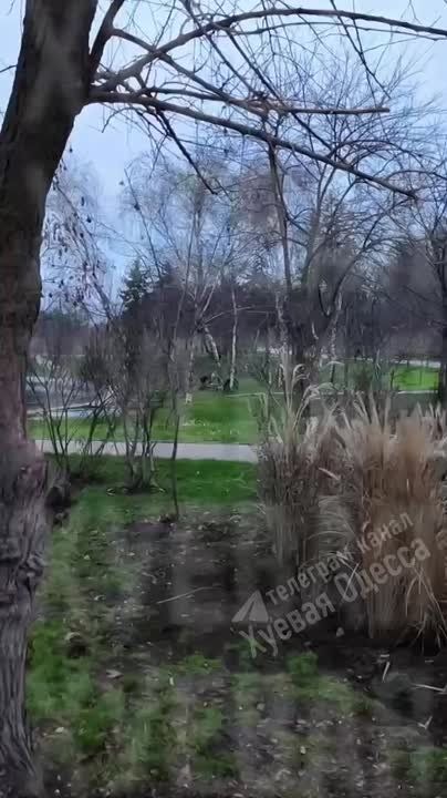 �������� ���������� �������� � �������� �����