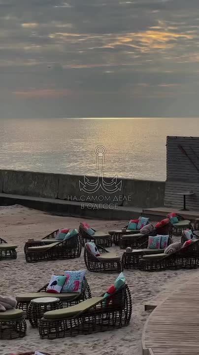 ������ ����, ������!. ������� �����������, 21 �������