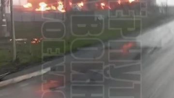 �� ����� � ����������� ������ "�������" �� ���������� Allseeds Black Sea � ������-����� ����� �������� �������