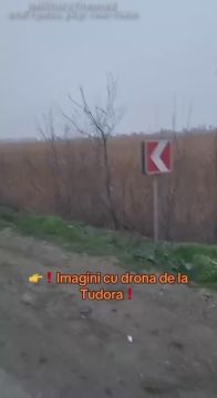 ��� ����� �������� �� ����������� ����� � ���� ����� �������� ������� �� 19.12.25