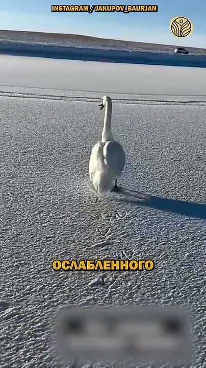 ����� ���� ������� ���������� � ����, ������� ������, �������� �������, ������ � ��������� �����