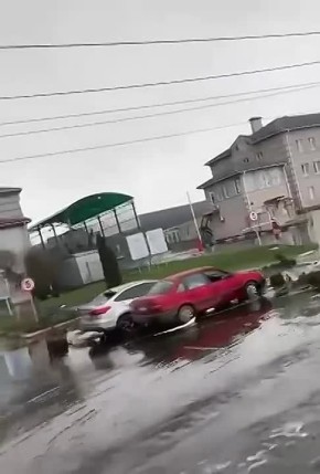 ������ ������������ ����� ����������� ����� ����� ���� ������ �� ���������� � ������������ ������ ������ �������� Allseeds � ����� ����� �������� ������� (�����)