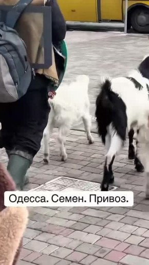 ��� ���������� ���������� ��� � ����� �� ������