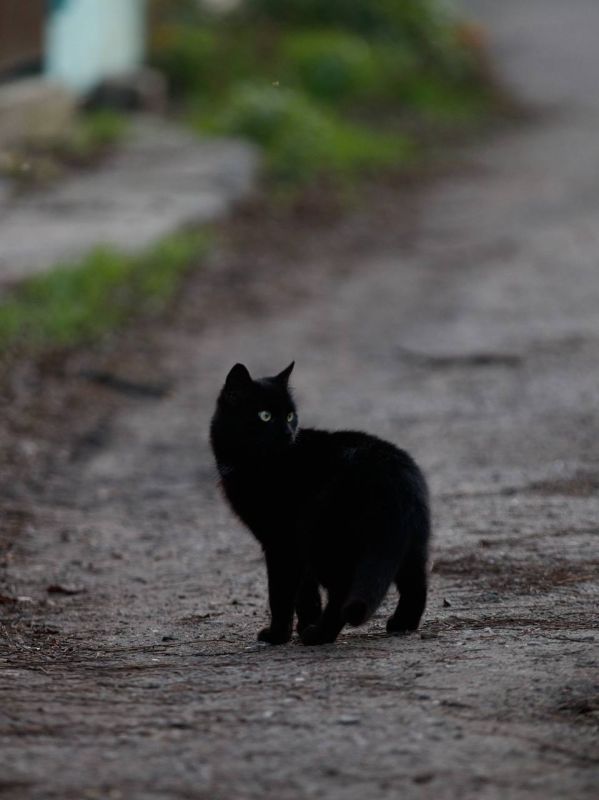 �������� ����� ������� � ���� �������� �����!