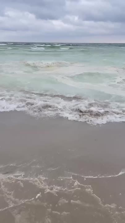 ����������� ����� ��� �� ������ �� �������� �������