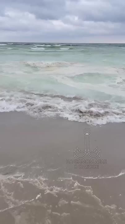 ������ ������ ������������� ������� ������������